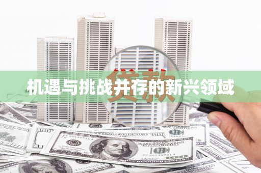 湖内机遇与挑战并存的新兴领域