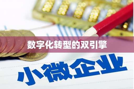 湖内数字化转型的双引擎