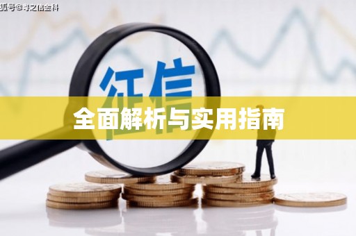 湖内全面解析与实用指南