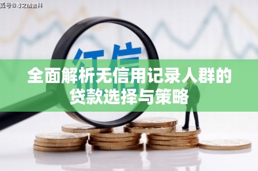 湖内全面解析无信用记录人群的贷款选择与策略