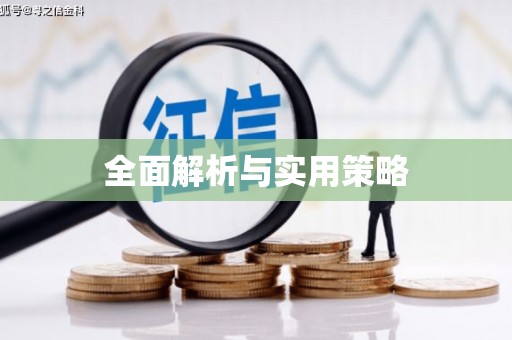 湖内全面解析与实用策略