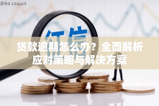 湖内贷款逾期怎么办？全面解析应对策略与解决方案