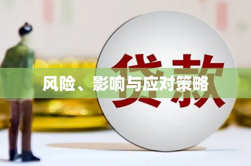 湖内风险、影响与应对策略