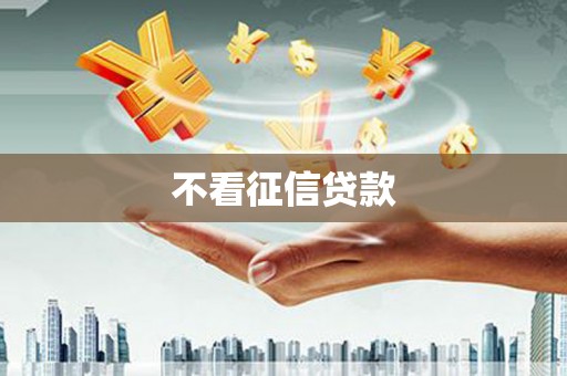 湖内不看征信贷款