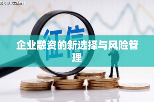 湖内企业融资的新选择与风险管理