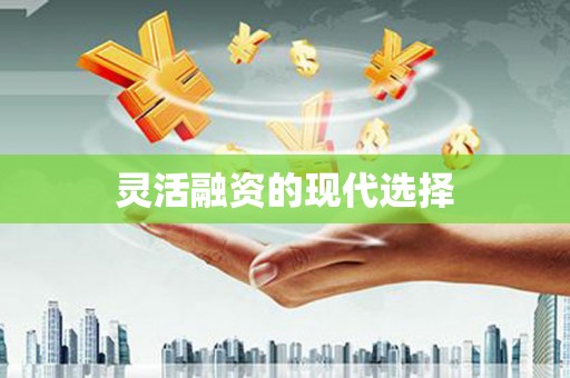 湖内灵活融资的现代选择