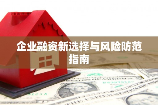 湖内企业融资新选择与风险防范指南