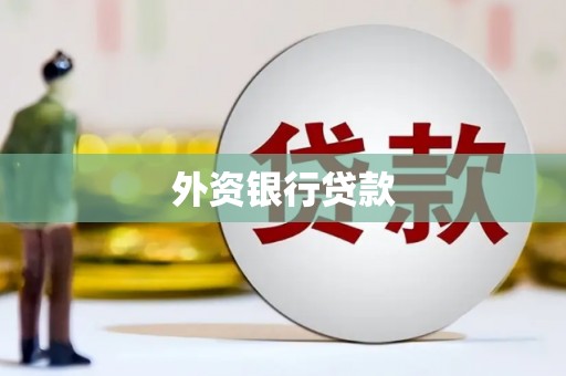 湖内外资银行贷款