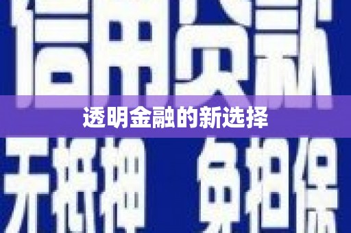 湖内透明金融的新选择