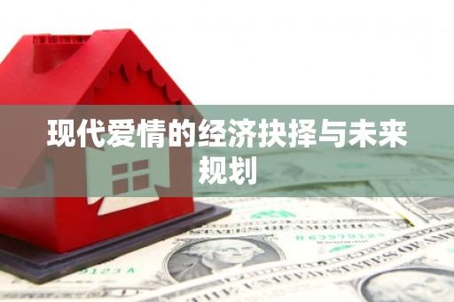 湖内现代爱情的经济抉择与未来规划