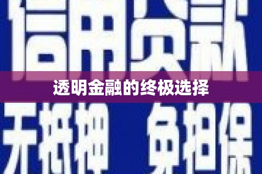 湖内透明金融的终极选择