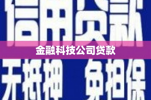 湖内金融科技公司贷款