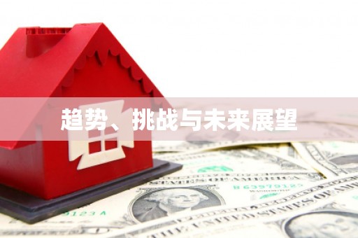 湖内趋势、挑战与未来展望