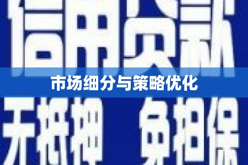 湖内市场细分与策略优化