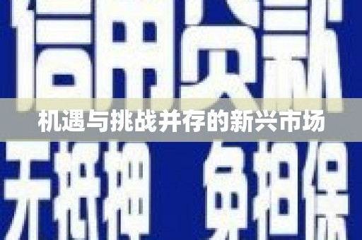 湖内机遇与挑战并存的新兴市场