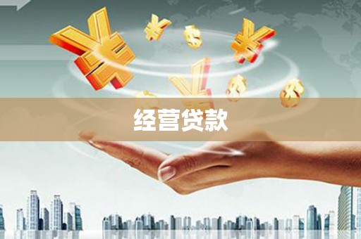 湖内经营贷款