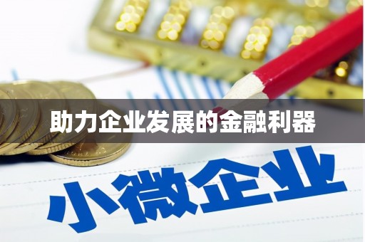 湖内助力企业发展的金融利器
