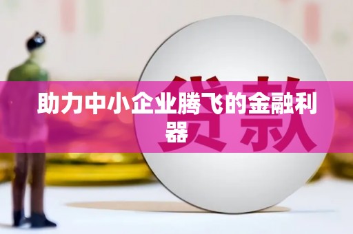 湖内助力中小企业腾飞的金融利器