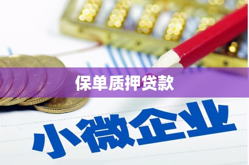湖内保单质押贷款