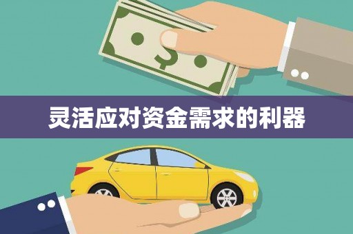 湖内灵活应对资金需求的利器
