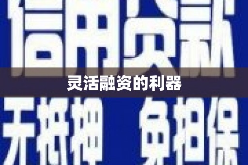 湖内灵活融资的利器