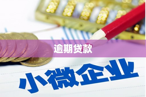湖内逾期贷款
