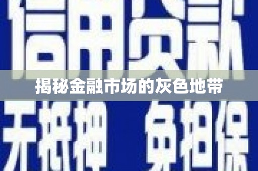 湖内揭秘金融市场的灰色地带