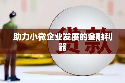 湖内助力小微企业发展的金融利器