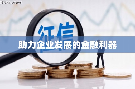 湖内助力企业发展的金融利器