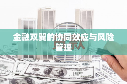 湖内金融双翼的协同效应与风险管理