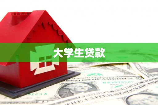 湖内大学生贷款