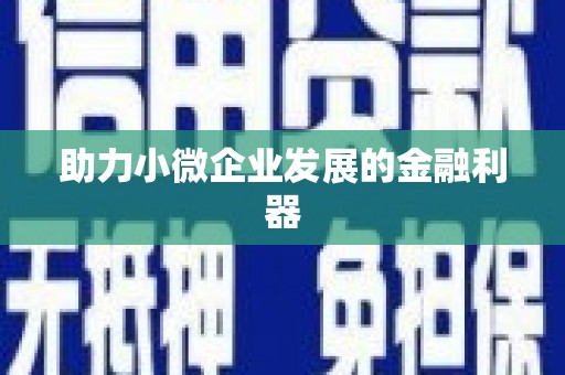 湖内助力小微企业发展的金融利器
