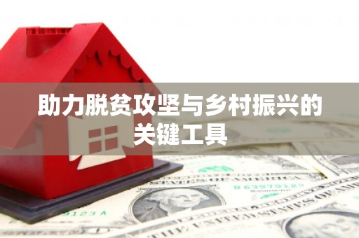湖内助力脱贫攻坚与乡村振兴的关键工具