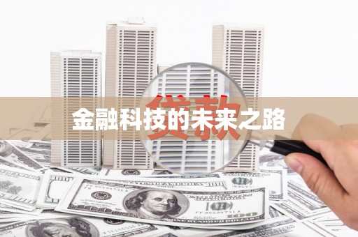 湖内金融科技的未来之路