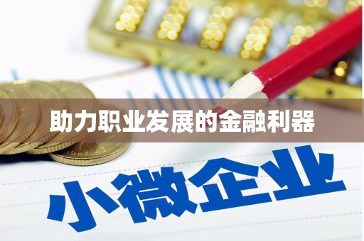 湖内助力职业发展的金融利器