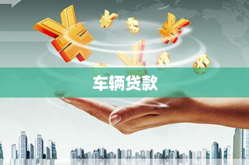 湖内车辆贷款