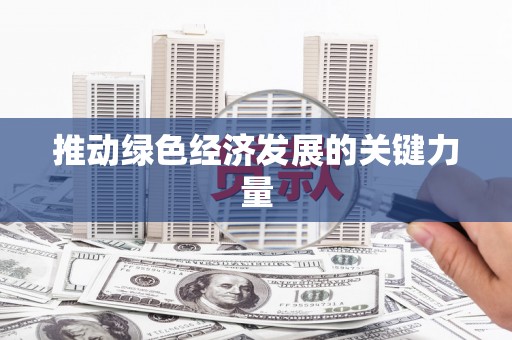 湖内推动绿色经济发展的关键力量