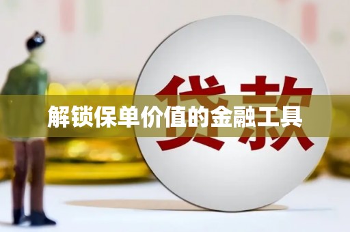 湖内解锁保单价值的金融工具