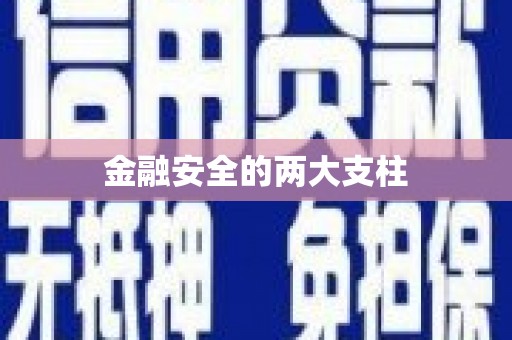 湖内金融安全的两大支柱