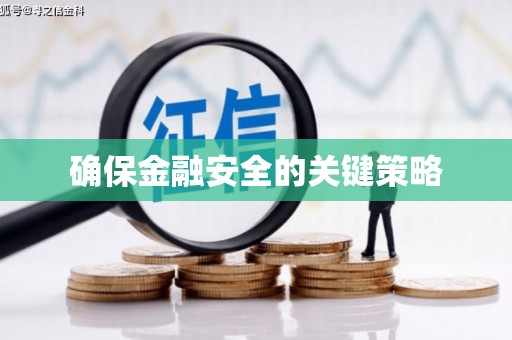 湖内确保金融安全的关键策略