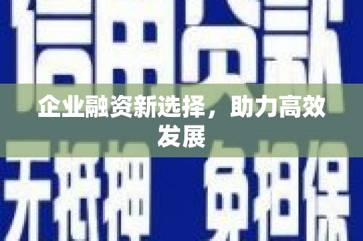 湖内企业融资新选择，助力高效发展