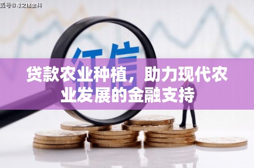 湖内贷款农业种植，助力现代农业发展的金融支持