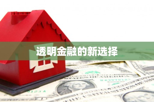 湖内透明金融的新选择