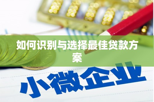 湖内如何识别与选择最佳贷款方案