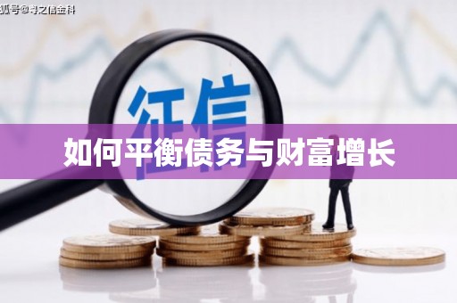 湖内如何平衡债务与财富增长
