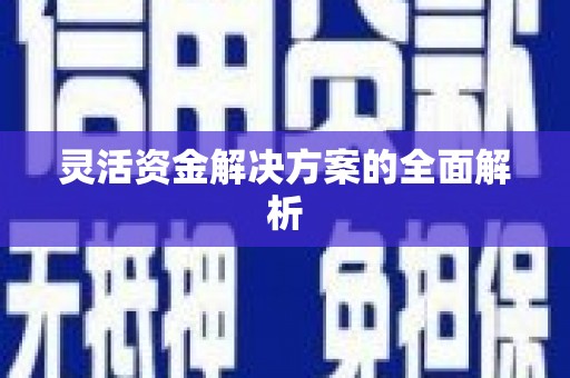 湖内灵活资金解决方案的全面解析