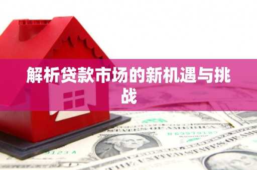 湖内解析贷款市场的新机遇与挑战