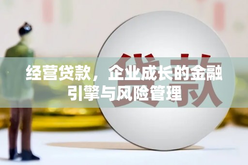 湖内经营贷款，企业成长的金融引擎与风险管理