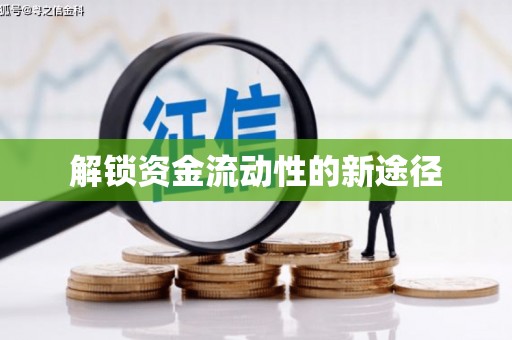 湖内解锁资金流动性的新途径