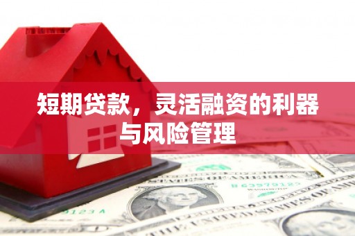 湖内短期贷款，灵活融资的利器与风险管理